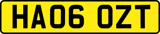 HA06OZT