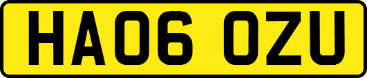 HA06OZU