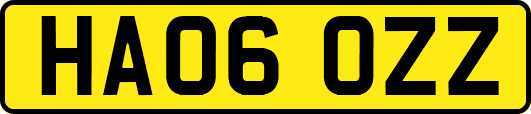 HA06OZZ