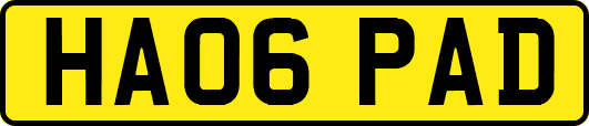 HA06PAD