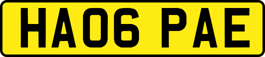 HA06PAE