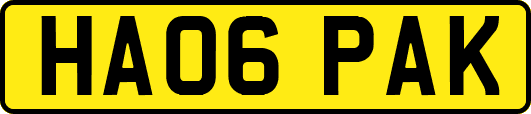HA06PAK