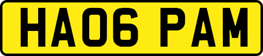 HA06PAM