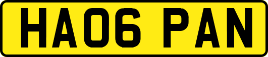 HA06PAN