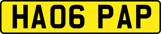 HA06PAP