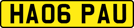 HA06PAU