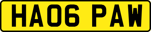 HA06PAW