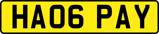 HA06PAY