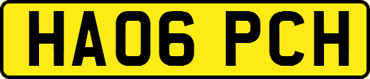 HA06PCH