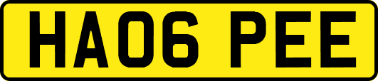 HA06PEE