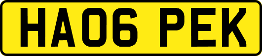 HA06PEK