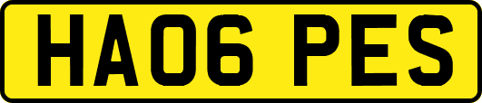 HA06PES