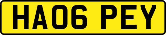 HA06PEY