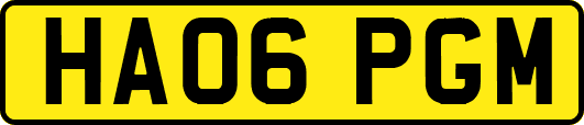 HA06PGM