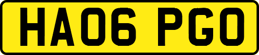 HA06PGO