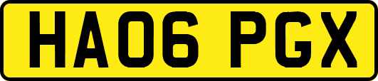 HA06PGX
