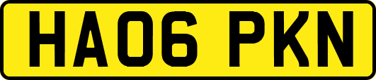 HA06PKN