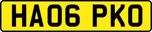 HA06PKO