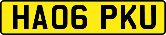 HA06PKU