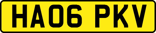 HA06PKV