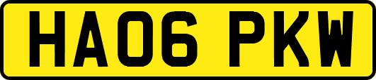 HA06PKW