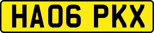 HA06PKX