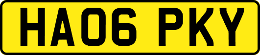 HA06PKY