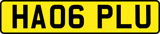 HA06PLU