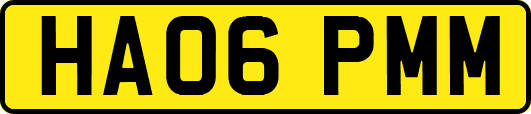HA06PMM
