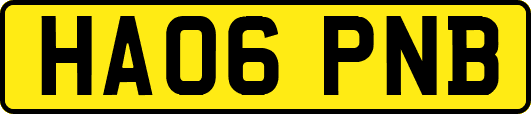 HA06PNB
