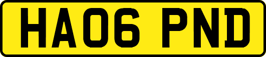 HA06PND
