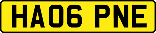 HA06PNE