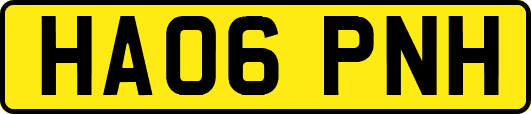 HA06PNH