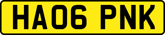 HA06PNK