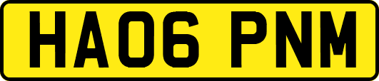 HA06PNM
