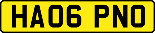 HA06PNO