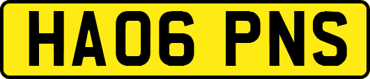 HA06PNS