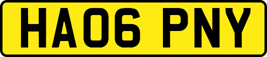 HA06PNY
