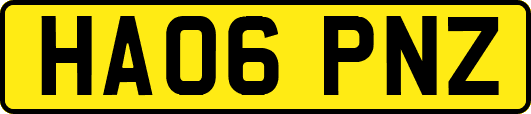 HA06PNZ