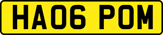 HA06POM