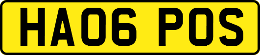 HA06POS