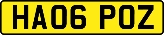 HA06POZ