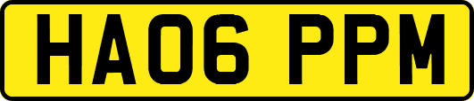 HA06PPM