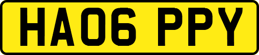 HA06PPY