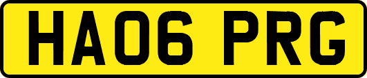 HA06PRG