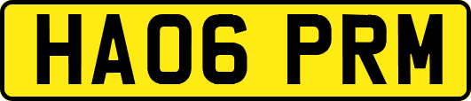 HA06PRM