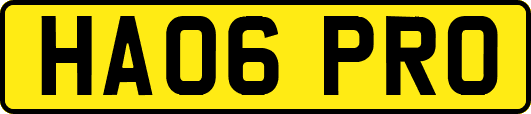 HA06PRO