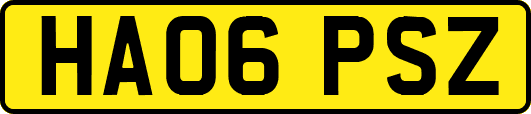 HA06PSZ