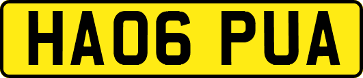 HA06PUA