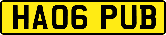 HA06PUB